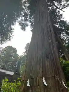 大宮温泉神社(栃木県)(2023年05月22日(月) 07時01分48秒投稿)
