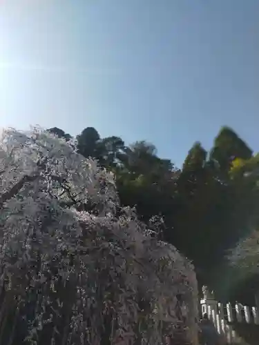 小川諏訪神社の自然