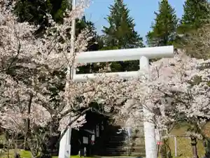 土津神社|こどもと出世の神さまの鳥居(2023年04月14日(金) 21時16分28秒投稿)