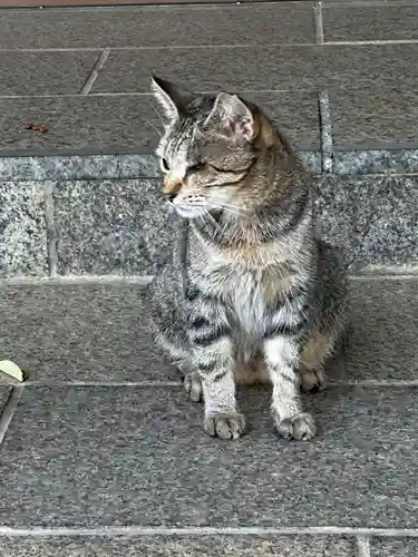 王子神社(徳島県)