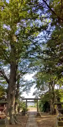 香取神社の鳥居