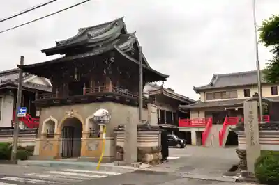 善楽寺(高知県)