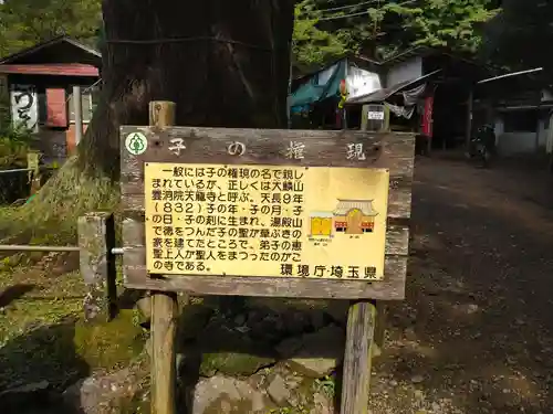 天龍寺の歴史