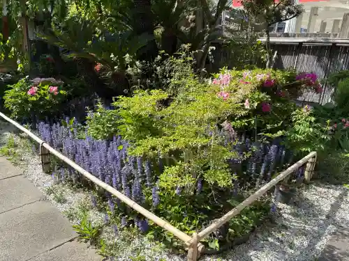 天性寺の{uncategorized: "未分類", other: "その他", undefined: "問題あり", building: "その他建物", grave: "お墓", sacred_gate: "鳥居", guardian: "狛犬", statue: "像", buddha: "仏像", history: "歴史", nature: "自然", garden: "庭園", animal: "動物", pagoda: "塔", temizu: "手水舎", mountain_gate: "山門・神門", sanctuary: "本殿・本堂", subordinate: "末社・摂社", art: "芸術", scenery: "景色", jizo: "地蔵", ema: "絵馬", goshuin: "御朱印", omikuji: "おみくじ", items: "授与品その他", amulet: "お守り", goshuincho: "御朱印帳", eats: "食事", festival: "お祭り", votive_dance: "神楽", shichigosan: "七五三参", wedding: "結婚式", experience: "体験その他", initially: "初詣", around: "周辺", anti_infection: "感染症対策"}