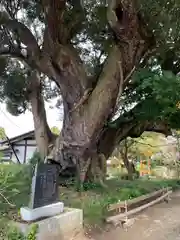 三嶋神社(茨城県)