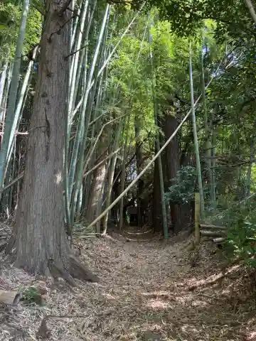 水神社(千葉県)