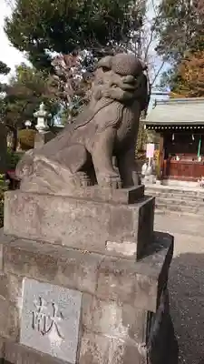 赤羽八幡神社の狛犬