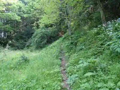 阿太賀都健御熊命神社の自然