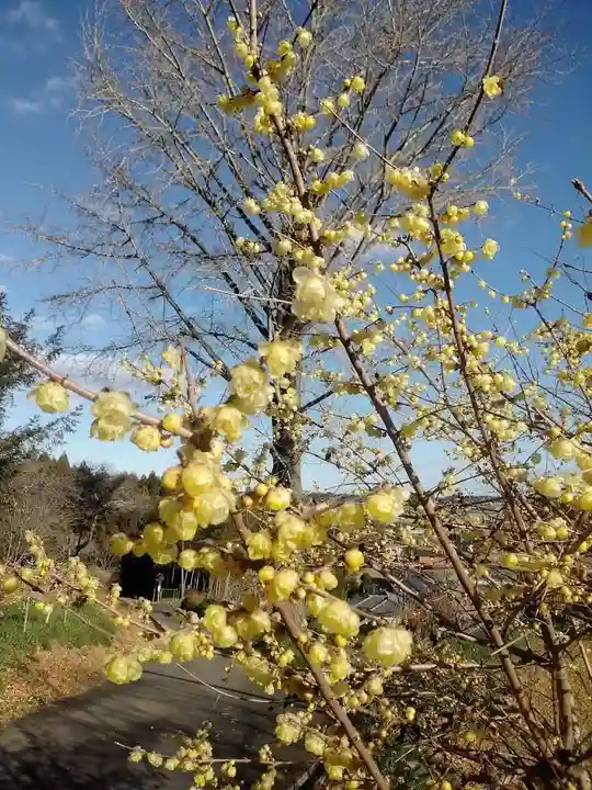 龍春寺(福島県)
