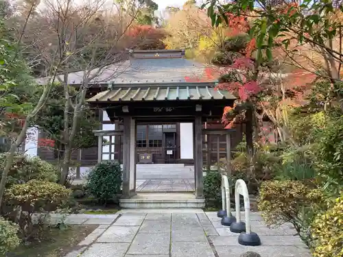 龍峰院の山門