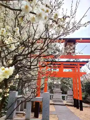 銀世界稲荷神社(東京都)