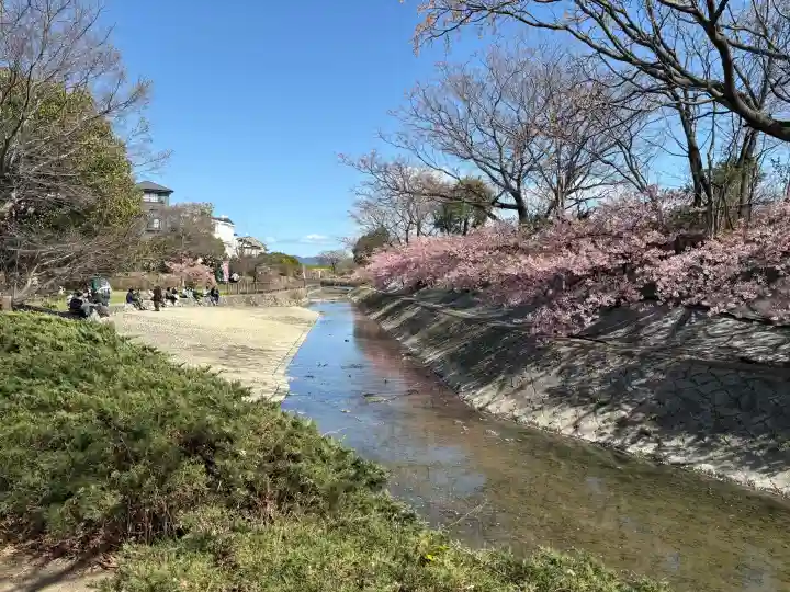 東運寺の{uncategorized: "未分類", other: "その他", undefined: "問題あり", building: "その他建物", grave: "お墓", sacred_gate: "鳥居", guardian: "狛犬", statue: "像", buddha: "仏像", history: "歴史", nature: "自然", garden: "庭園", animal: "動物", pagoda: "塔", temizu: "手水舎", mountain_gate: "山門・神門", sanctuary: "本殿・本堂", subordinate: "末社・摂社", art: "芸術", scenery: "景色", jizo: "地蔵", ema: "絵馬", goshuin: "御朱印", omikuji: "おみくじ", items: "授与品その他", amulet: "お守り", goshuincho: "御朱印帳", eats: "食事", festival: "お祭り", votive_dance: "神楽", shichigosan: "七五三参", wedding: "結婚式", experience: "体験その他", initially: "初詣", around: "周辺", anti_infection: "感染症対策"}