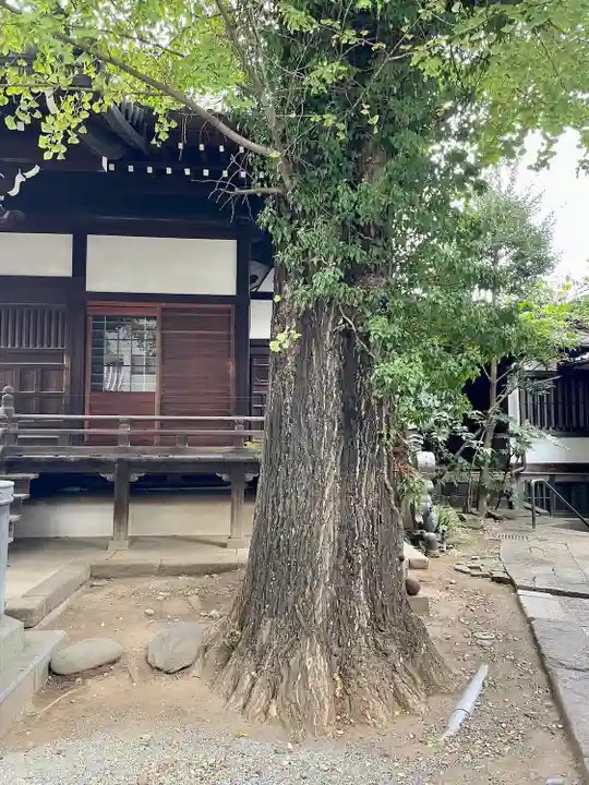 正徳寺(東京都)