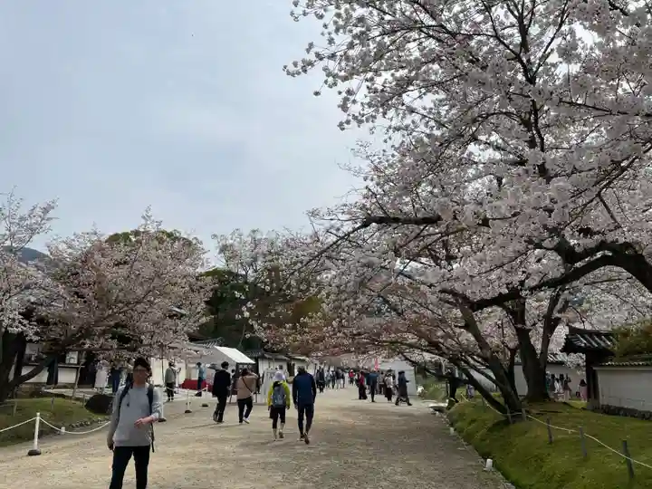 醍醐寺(京都府)