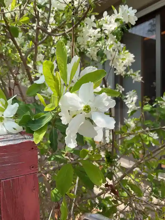 富部神社(愛知県)