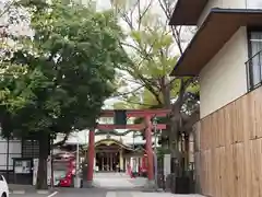 須賀神社の鳥居