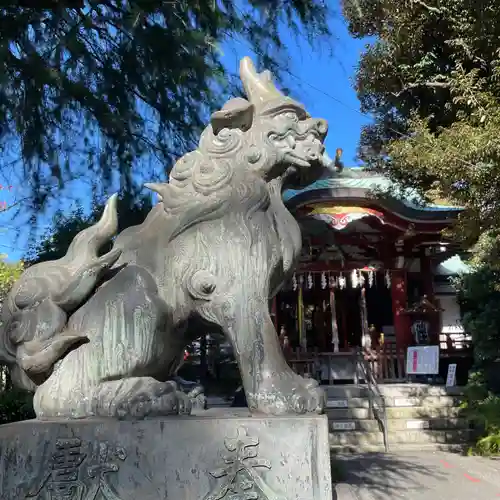 青山熊野神社の狛犬