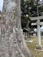 雷電神社(茨城県)