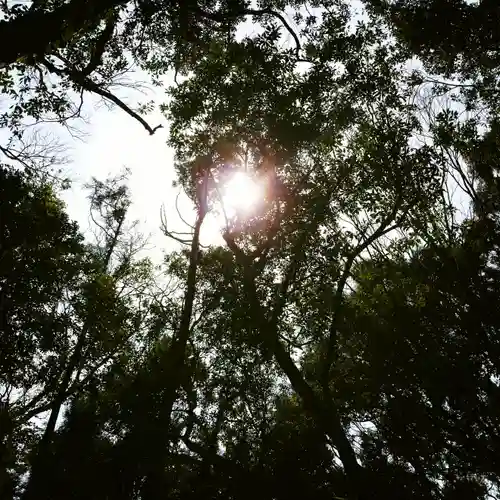 沼尾神社の自然