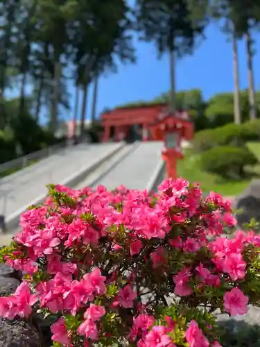 高屋敷稲荷神社(福島県)