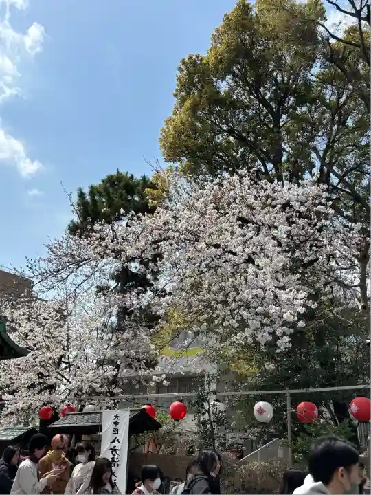 桜神宮(東京都)
