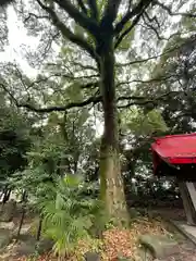 清洲山王宮　日吉神社(愛知県)