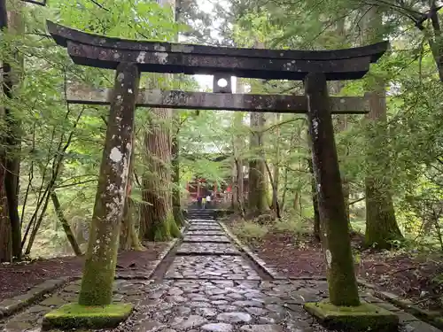 瀧尾神社（日光二荒山神社別宮）の鳥居