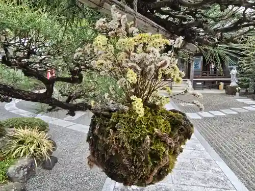 多聞寺(兵庫県)