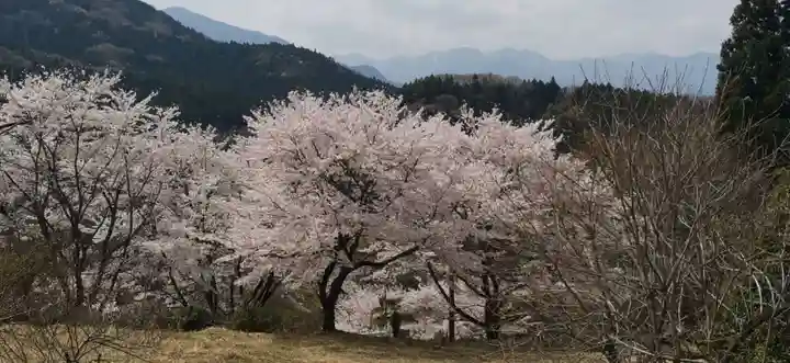 真福寺(埼玉県)