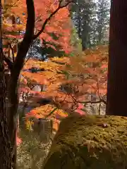 岡太神社の自然