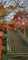 穴八幡宮の自然