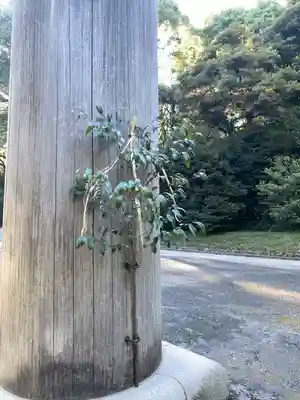 明治神宮(東京都)