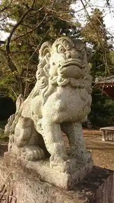 三柱神社（駒場町）の狛犬