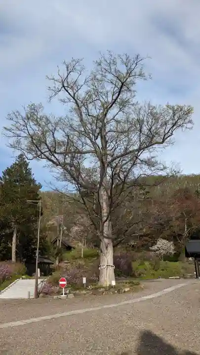 本別神社の自然