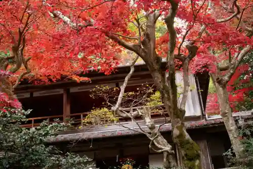 柳谷観音　楊谷寺の庭園