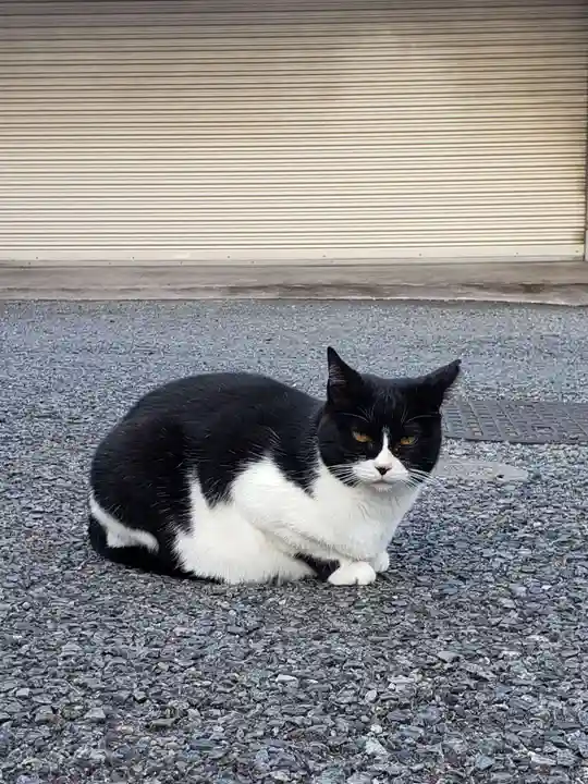 白金氷川神社(東京都)
