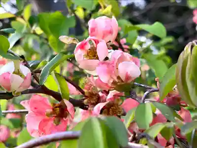 滋野神社の自然