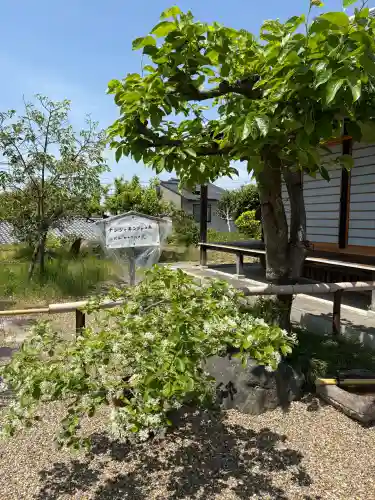 橋寺 放生院の{uncategorized: "未分類", other: "その他", undefined: "問題あり", building: "その他建物", grave: "お墓", sacred_gate: "鳥居", guardian: "狛犬", statue: "像", buddha: "仏像", history: "歴史", nature: "自然", garden: "庭園", animal: "動物", pagoda: "塔", temizu: "手水舎", mountain_gate: "山門・神門", sanctuary: "本殿・本堂", subordinate: "末社・摂社", art: "芸術", scenery: "景色", jizo: "地蔵", ema: "絵馬", goshuin: "御朱印", omikuji: "おみくじ", items: "授与品その他", amulet: "お守り", goshuincho: "御朱印帳", eats: "食事", festival: "お祭り", votive_dance: "神楽", shichigosan: "七五三参", wedding: "結婚式", experience: "体験その他", initially: "初詣", around: "周辺", anti_infection: "感染症対策"}