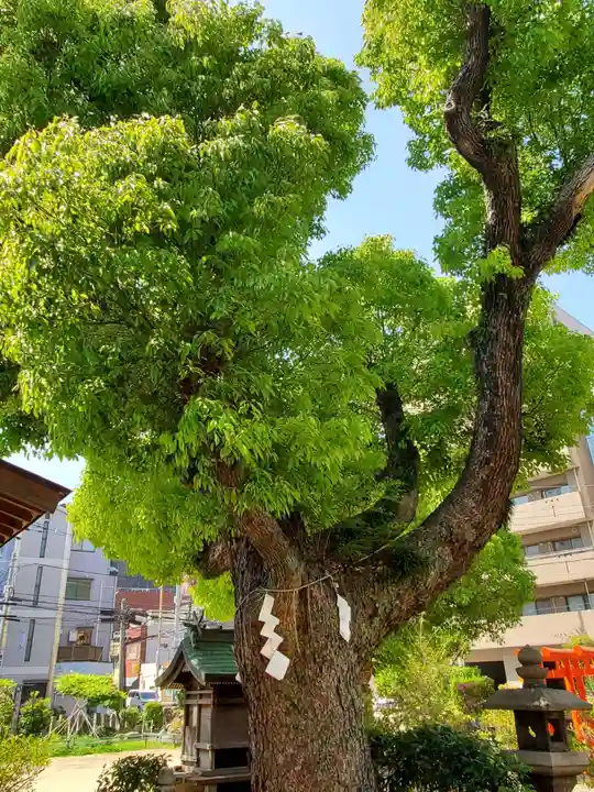 富島神社の自然