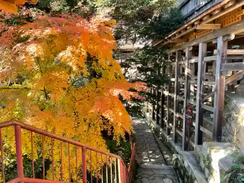 竹生島神社（都久夫須麻神社）の建物その他