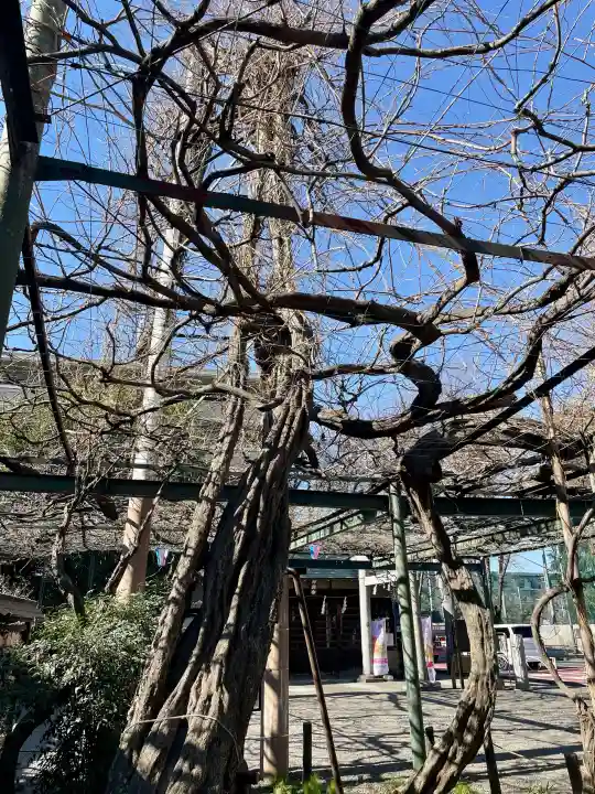 國領神社の{uncategorized: "未分類", other: "その他", undefined: "問題あり", building: "その他建物", grave: "お墓", sacred_gate: "鳥居", guardian: "狛犬", statue: "像", buddha: "仏像", history: "歴史", nature: "自然", garden: "庭園", animal: "動物", pagoda: "塔", temizu: "手水舎", mountain_gate: "山門・神門", sanctuary: "本殿・本堂", subordinate: "末社・摂社", art: "芸術", scenery: "景色", jizo: "地蔵", ema: "絵馬", goshuin: "御朱印", omikuji: "おみくじ", items: "授与品その他", amulet: "お守り", goshuincho: "御朱印帳", eats: "食事", festival: "お祭り", votive_dance: "神楽", shichigosan: "七五三参", wedding: "結婚式", experience: "体験その他", initially: "初詣", around: "周辺", anti_infection: "感染症対策"}