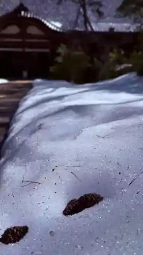 天徳院の{uncategorized: "未分類", other: "その他", undefined: "問題あり", building: "その他建物", grave: "お墓", sacred_gate: "鳥居", guardian: "狛犬", statue: "像", buddha: "仏像", history: "歴史", nature: "自然", garden: "庭園", animal: "動物", pagoda: "塔", temizu: "手水舎", mountain_gate: "山門・神門", sanctuary: "本殿・本堂", subordinate: "末社・摂社", art: "芸術", scenery: "景色", jizo: "地蔵", ema: "絵馬", goshuin: "御朱印", omikuji: "おみくじ", items: "授与品その他", amulet: "お守り", goshuincho: "御朱印帳", eats: "食事", festival: "お祭り", votive_dance: "神楽", shichigosan: "七五三参", wedding: "結婚式", experience: "体験その他", initially: "初詣", around: "周辺", anti_infection: "感染症対策"}