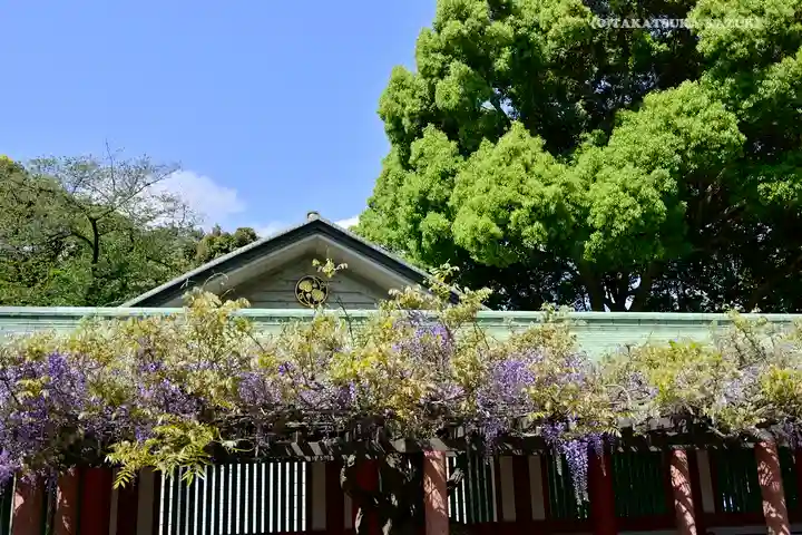 日枝神社の自然