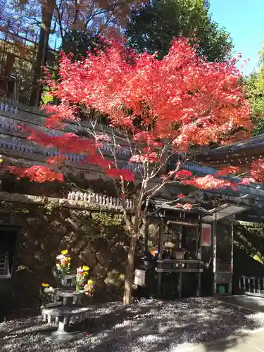 長谷寺の庭園