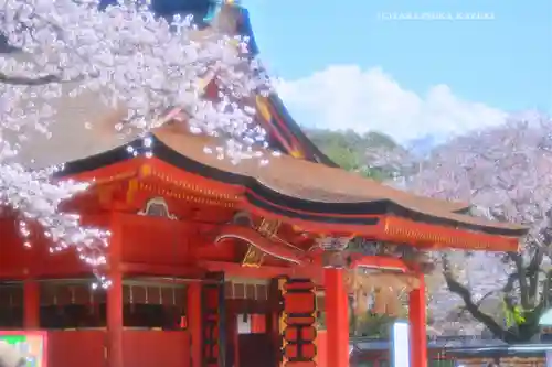 富士山本宮浅間大社(静岡県)