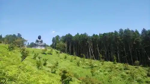 寳光寺　鹿野大佛の仏像