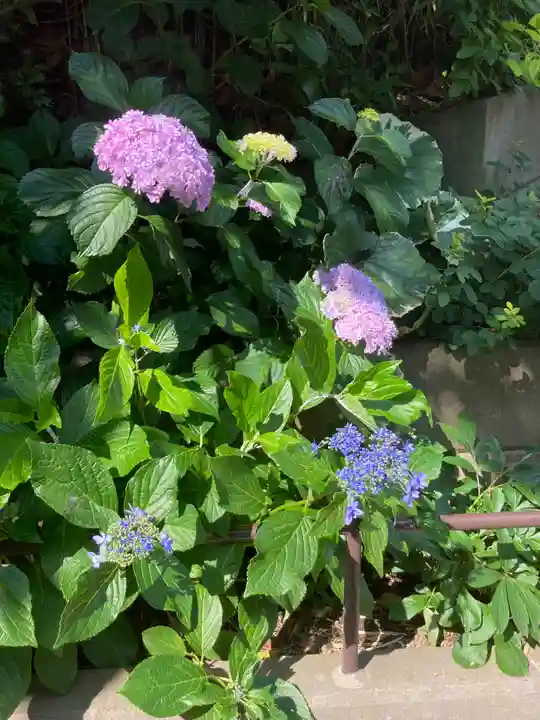 松嶺院(神奈川県)