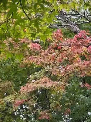 縣居神社(静岡県)