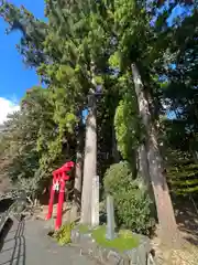 須山浅間神社(静岡県)