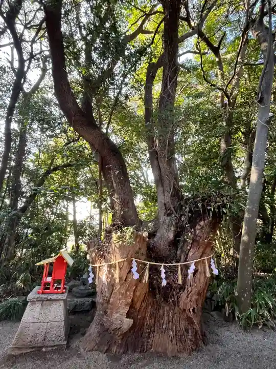 津八幡宮の{uncategorized: "未分類", other: "その他", undefined: "問題あり", building: "その他建物", grave: "お墓", sacred_gate: "鳥居", guardian: "狛犬", statue: "像", buddha: "仏像", history: "歴史", nature: "自然", garden: "庭園", animal: "動物", pagoda: "塔", temizu: "手水舎", mountain_gate: "山門・神門", sanctuary: "本殿・本堂", subordinate: "末社・摂社", art: "芸術", scenery: "景色", jizo: "地蔵", ema: "絵馬", goshuin: "御朱印", omikuji: "おみくじ", items: "授与品その他", amulet: "お守り", goshuincho: "御朱印帳", eats: "食事", festival: "お祭り", votive_dance: "神楽", shichigosan: "七五三参", wedding: "結婚式", experience: "体験その他", initially: "初詣", around: "周辺", anti_infection: "感染症対策"}